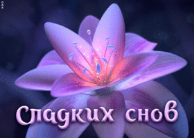 Картинка плейкаст сладких снов