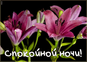 Открытка плейкаст спокойной ночи