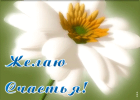 Открытка плейкаст желаю счастья