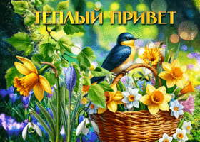 Picture подбадривающая гиф-открытка, теплый привет