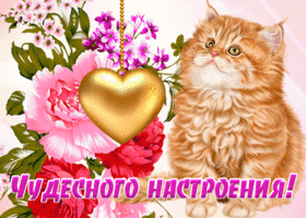 Картинка положительная картинка для настроения