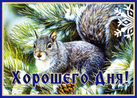 Картинка потрясающая открытка хорошего дня