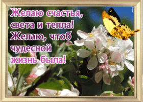 Открытка потрясающая открытка с пожеланием