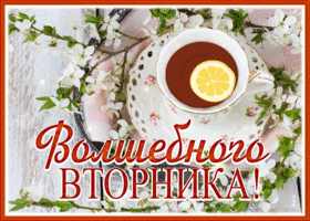 Picture потрясающая открытка с пожеланием волшебного вторника