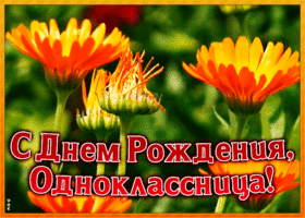 Открытка поздравительная открытка с днем рождения однокласснице