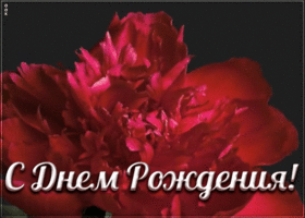 Открытка поздравление женщине с пионом