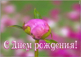 Картинка поздравляю с днём рождения женщине