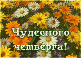 Открытка пожелание чудесного четверга