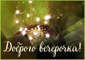Картинка пожелание доброго вечера