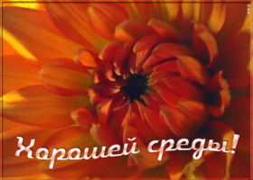 Картинка пожелание хорошей среды