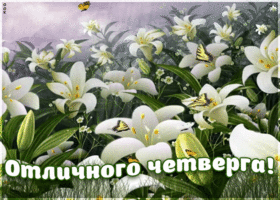 Картинка пожелание отличного четверга с анимацией