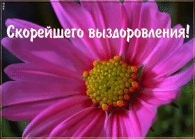 Картинка пожелание скорейшего выздоровления