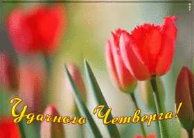 Картинка пожелание удачного четверга