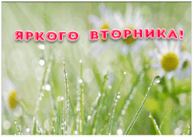 Картинка пожелание яркого вторника