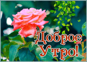 Картинка позитивная картинка доброе утро