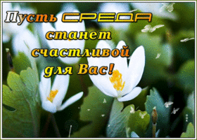 Картинка позитивная картинка со средой