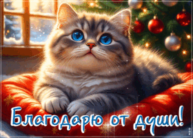 Postcard позитивная открытка, большое спасибо тебе