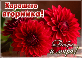 Picture позитивная открытка, отличного вторника!