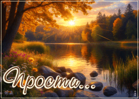 Picture позитивная открытка, прости и будь спокойна