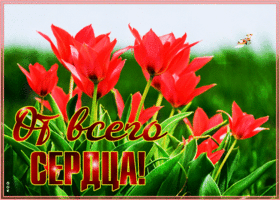 Картинка позитивная открытка с цветами