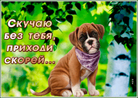 Картинка позитивная открытка скучаю