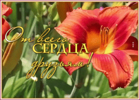 Картинка позитивная открытка спасибо за дружбу