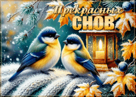 Postcard позитивная открытка, хороших снов