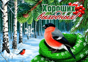 Postcard позитивная открытка, желаю тебе хороших выходных