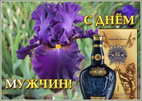 Картинка праздничная картинка всемирный день мужчин