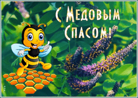 Открытка праздничная открытка медовый спас