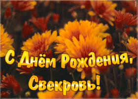 Картинка праздничная открытка с днем рождения свекрови