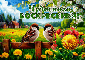 Picture праздничная гиф-открытка, чудного воскресенья