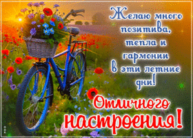 Postcard праздничная гиф-открытка, желает много позитива