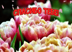 Открытка прекрасная анимация спасибо