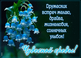 Picture прекрасная гиф-открытка, чудесных встреч в эту среду