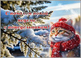 Postcard прекрасная гиф-открытка поздравляет с началом новой недели - с понедельником