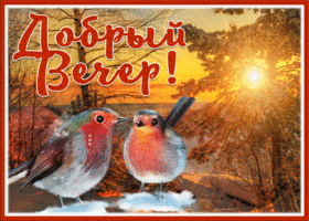 Picture прекрасная картинка добрый вечер со снегом и птичками