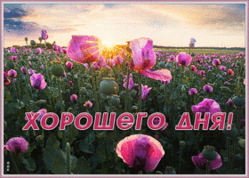 Картинка прекрасная картинка хорошего дня