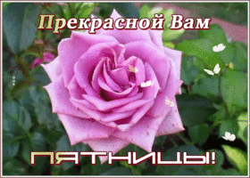 Картинка прекрасная картинка с пятницей