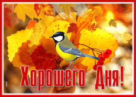 Postcard прекрасная картинка хорошего дня с синичкой
