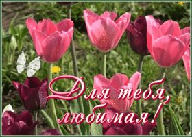 Postcard прекрасная открытка для тебя, любимая