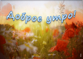 Открытка прекрасная открытка доброе утро