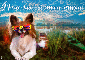 Открытка прекрасная открытка хорошего летнего дня