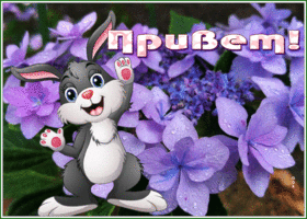 Postcard прекрасная открытка привет с сиреневыми цветами