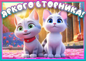 Picture прекрасная открытка с котиками яркого вторника!