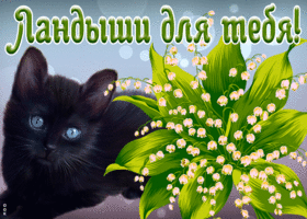 Картинка прекрасная открытка с ландышами