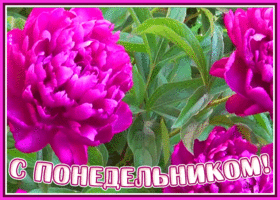 Открытка прекрасная открытка с понедельником