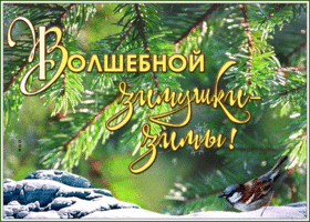 Открытка прекрасная открытка волшебной зимы