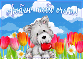 Открытка прекрасная открытка я тебя люблю