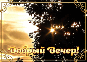 Картинка прекрасное пожелание доброго вечера